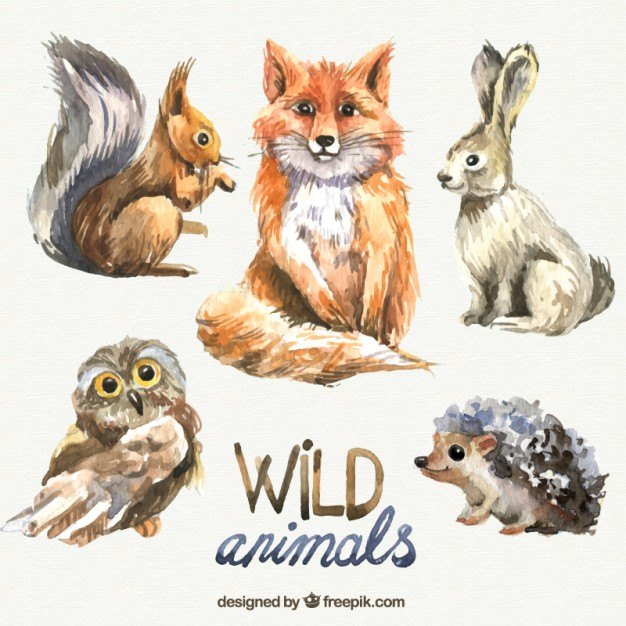 Watercolor wild animals