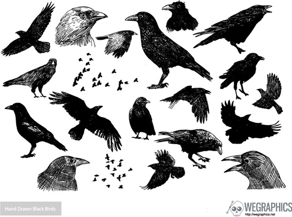 Animal Sketch Hand-painted