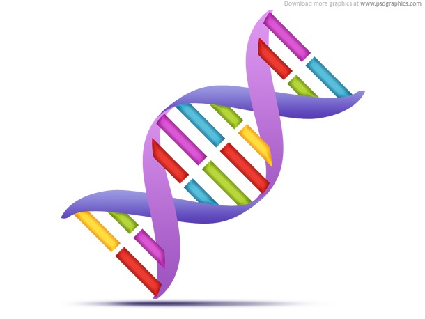 DNA strands, medical icon (PSD)