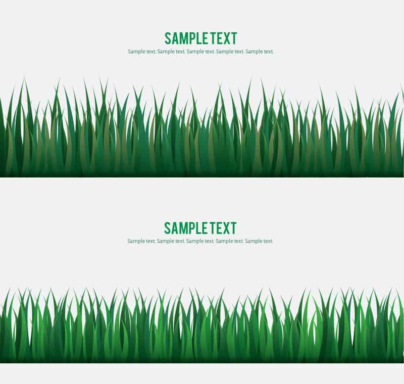 2 green grass vector graphics