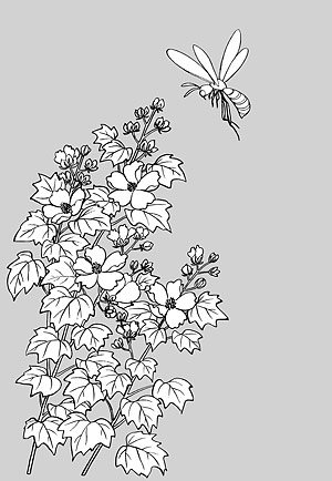 Japanese line drawing of plant flowers vector material -15