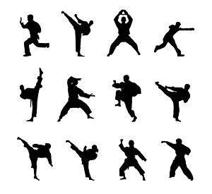 Kung fu martial character silhouette icon material