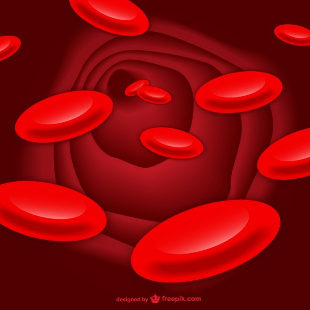 Red cells vector art