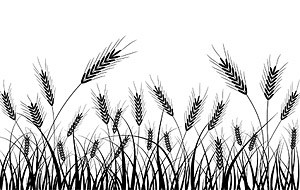 Wheat Silhouette Vector material