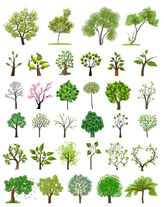 tree trees vector material