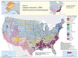 American ethnicity map shows melting pot of ethnicities that make up the USA today