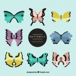 Assortment of great butterflies with different shapes Vector | Free Download