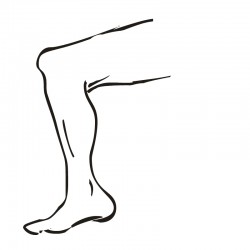 Body Parts Clip Art