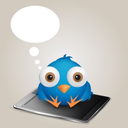 Cartoon bird vector
