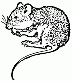 Clip Art: July 2010 – Cliparts.co