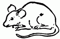 Clip Art Mouse | Cool Clip Art – Cliparts.co