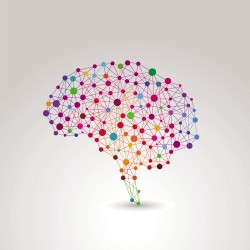 Colored dots brain vector
