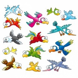 Coloured birds collection Vector | Free Download