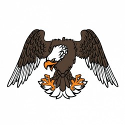 Coloured eagle design Vector | Free Download