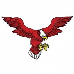 Coloured eagle design Vector | Free Download