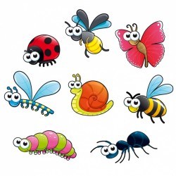Coloured insects collection Vector | Free Download