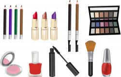 Cosmetics vector