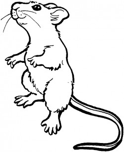 Cute Mouse Drawing – Cliparts.co