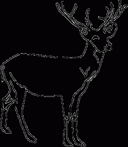 Deer Clip Art Free – Cliparts.co