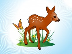 Fawn – Cliparts.co