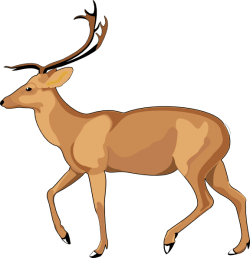Free Deer Clip Art – Cliparts.co
