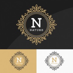 Golden logos set Vector | Free Download