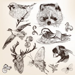 Hand drawn animals collection Vector | Premium Download