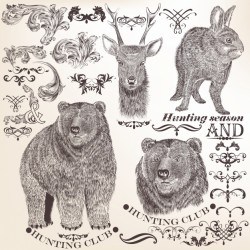 Hand drawn animals collection Vector | Premium Download
