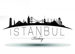 Istanbul city silhouette vector