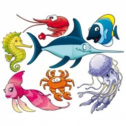 Marine animals collection Vector | Free Download