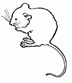Mouse Clip Art Free | Clipart Panda – Free Clipart Images – Cliparts.co