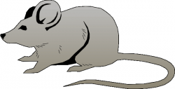 Mouse Clipart | Coloring Pages To Print – Cliparts.co