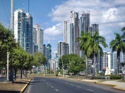 Under the blue sky and high-rise road picture material
