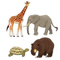 Wild animals collection Vector | Free Download