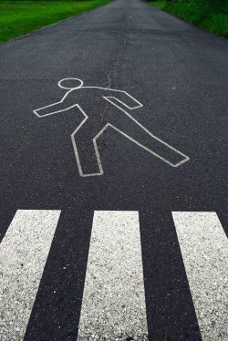 Zebra crossing the road with a pedestrian symbol image material