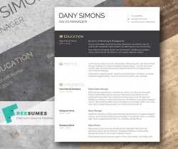 A Light and Dark Free CV Template – The Modish Applicant