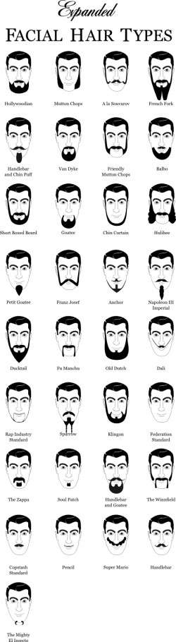 Hair Types