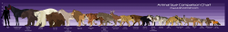 Animal Size Comparison Chart by Myuui on DeviantArt