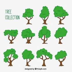Assortment of hand drawn trees