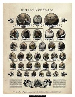 Beard Types A