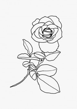 Beautiful Red Rose Flower Coloring Page | Kids Play Color