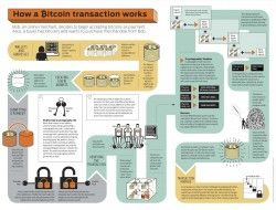 Bitcoin infographic | Visual.ly