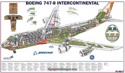 Boeing 747-8 Cutaway – Photo Prints
