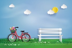 bicycle garden vector
