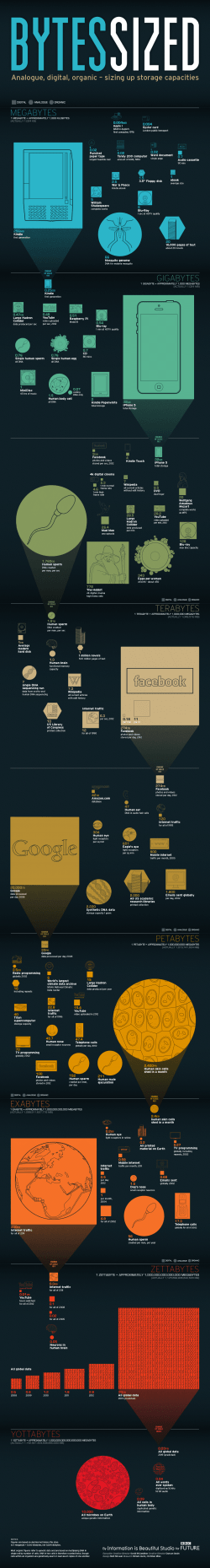 Bytes Sized – Infographic
