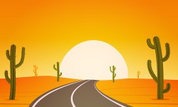 Cactus highways