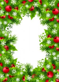 Christmas holly frame vector