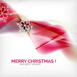Christmas wishes card with snowflake vector 11