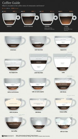 Coffee Guide [Infographic]