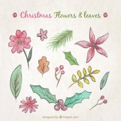 Collection of flowers and leaves of christmas watercolor